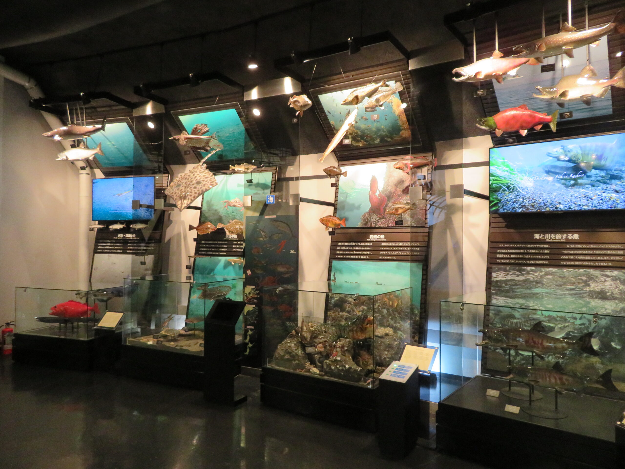釧路 釧路市立博物館 – 北海道デジタルミュージアム