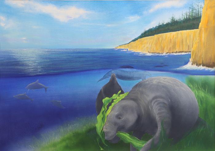 820万年前の札幌の海（サッポロカイギュウ生息環境復元画）
